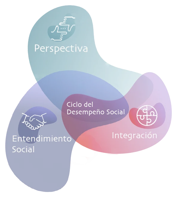 https://insightsocial.org/wp-content/uploads/2023/08/ciclodeldesempenosocial22.png